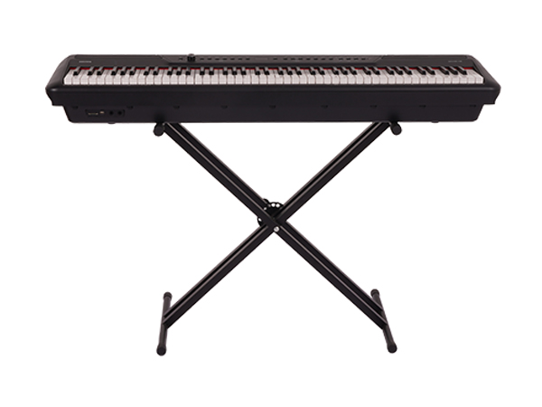 AMASON P1000